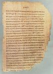 Papiro antigo.